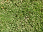 39543P1010159.JPG