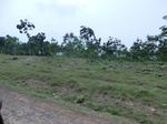 50601CIMG1230.JPG