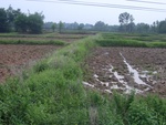 34623RIMG0090.JPG
