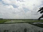22114DSC00355.JPG