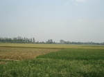 21844DSC08428.JPG