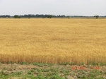 29462CIMG0756.JPG