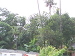 1696210052008(32).JPG
