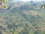 31687CIMG1555.JPG