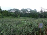 20188P1020042.JPG
