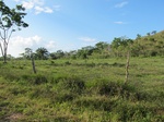 31959IMG_5638.JPG