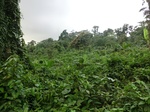 45277CIMG2362.JPG