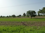 18904P1000747.JPG