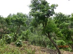 53429CIMG6753.JPG