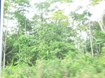 49588CIMG5925.JPG