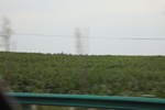 2024-08-05_16-09-00_472974F2-E719-4B98-A3E1-CAD0544B57F6.jpeg