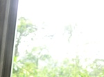 49604CIMG5941.JPG