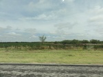 35913DSC02681.JPG