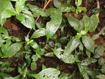 43702DSC02199.JPG
