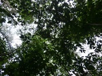 46277CIMG0566.JPG