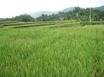 15194IMG_4014.JPG