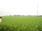 14439IMG_4791.JPG
