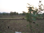 17480100_2169.JPG