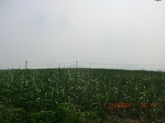 33112CIMG2347.JPG