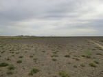 37203CIMG1001.JPG