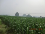 33079CIMG2314.JPG