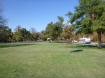 39534P1010150.JPG