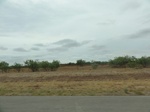 35977DSC02748.JPG