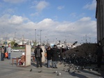 16736DSC05190.JPG