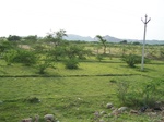 1796227042008(92).JPG