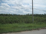 33525IMG_5775.JPG