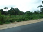 21100P1020977.JPG