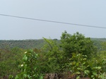1724220042008(29).JPG