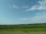 21478P1010302.JPG
