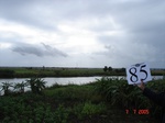 10663gt-085-wetland-limpopo-flood-plain-01.jpg