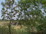 1763222042008(12).JPG