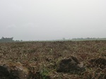45875CIMG3077.JPG