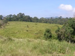 21416RIMG0037.JPG