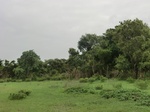 51963CIMG0705.JPG