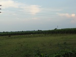 24682DSC00906.JPG
