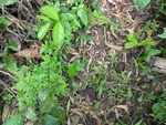 50192DSC01991.JPG