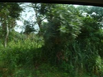 20690P1020547.JPG