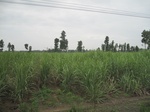 34452IMG_5435.JPG