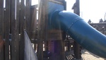 9731DSC01407.JPG