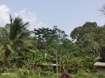49716CIMG6053.JPG