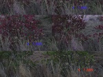 11021gt-075-wetland-seasonal-dry-streambed-02.jpg