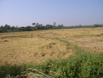 26486RIMG0344.JPG