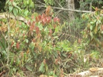 48289CIMG4626.JPG