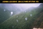 40477Anh2722.JPG