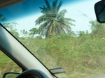 51565P1000743.JPG