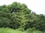 877R0015397.jpg